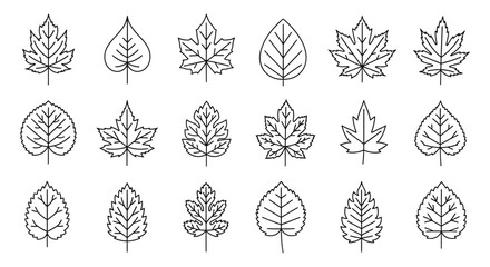 A collection of eighteen various stylized black outline vector illustrations depicting different types of botanical tree leaves