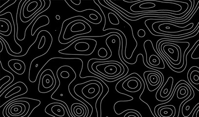 Map contour line and topography abstract relief with topographic vector terrain. Cartography land background and grid landscape outline with geographic mountain texture. © Shanvood