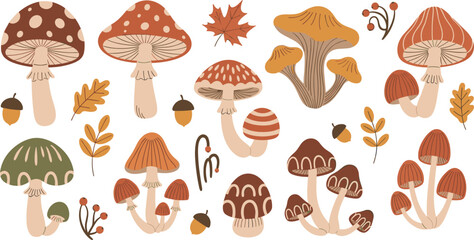 Autumn mushrooms and forest elements collection with leaves acorns toadstools and fall nature botanical vector illustration set © Lunavera art