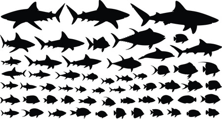 Marine animal silhouettes collection, shark fish outline, dolphin figure design, aquatic wildlife icon, ocean biodiversity illustration, sea creature motif © Anonto