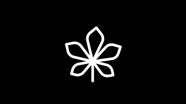 Simple white outline of a five-pointed leaf on a black background, minimalist design