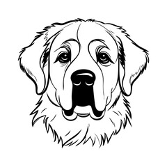 Dibujo sencillo con líneas de la cabeza de un perro San Bernardo visto de frente © teracreonte