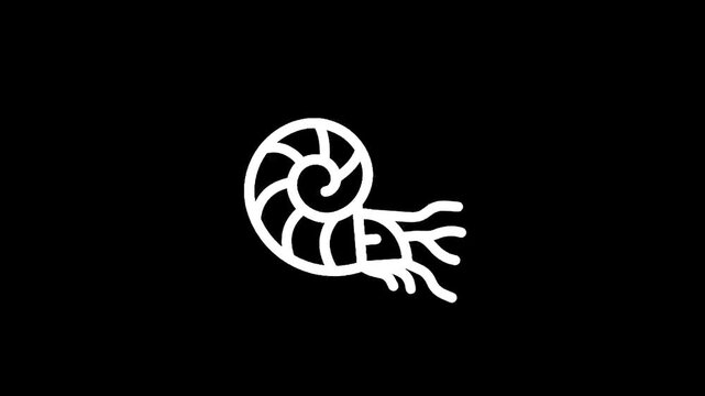 Stylized white nautilus shell icon with tentacles on a black background