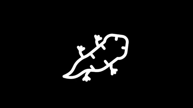 Simple white line drawing of a salamander on a black background