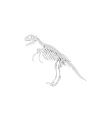 Plastic Tyrannosaurus Rex dinosaur skeleton model isolated on transparent background with reflection. Miniature T-Rex fossil replica for paleontology education, and prehistoric concepts © Ptitsyna