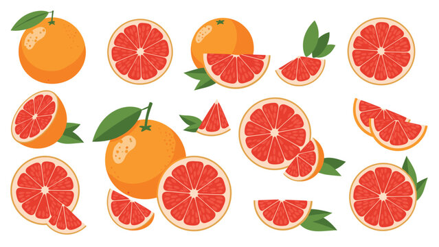 Vibrant grapefruit collection featuring whole fruit halves and various wedge slices with fresh green leaves.