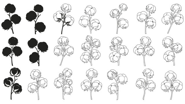Extensive collection of cotton boll illustrations in various styles including silhouettes outlines and detailed sketches.
