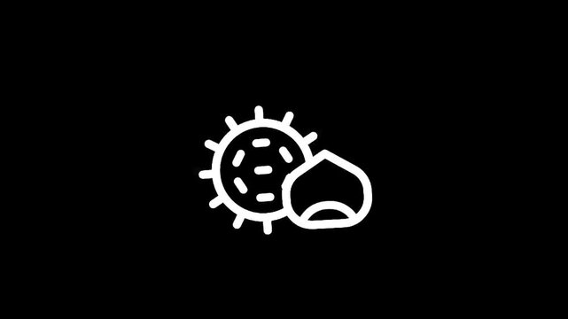 Stylized icon of a virus particle next to a chestnut on a black background