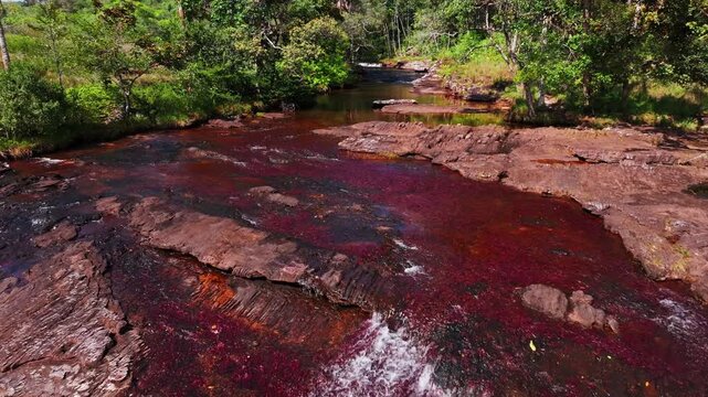 Aerial drone shot of Ca&ntilde;o Sabana reveals a vibrant river in Guaviare, Colombia, with colorful waters, surrounding forest, and striking natural textures from above.