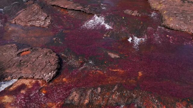 Drone footage above Ca&ntilde;o Sabana captures the river&rsquo;s colorful appearance, surrounding rainforest, and the untouched environment of Guaviare, Colombia.