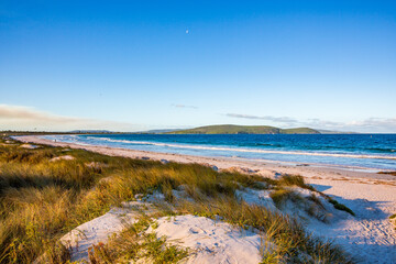Obraz premium Australian landscape with ocean beach 