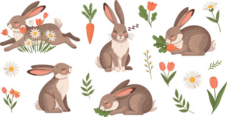 Cute rabbit characters collection with carrots flowers leaves and sleeping bunny poses spring nature cartoon vector illustration set © Honey!