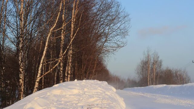 A severe snowstorm on a road in a forest in northeastern Europe on a sunny day in mid-March
