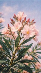 Fototapeta premium Vibrant floral elegance captured beautifully mobile wallpaper