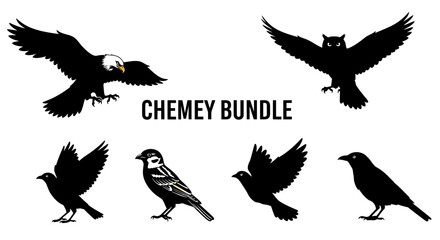 Obraz premium Diverse Bird Silhouettes Collection: Eagle, Owl, Sparrows, Crows, Flying & Perched