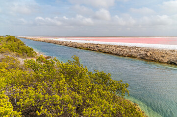 Obraz premium A view along a drainage channel beside a pink salt crystalisation pool on the lower side of Bonaire on a bright morning