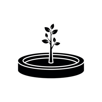 Small plant growing in a circular pot.