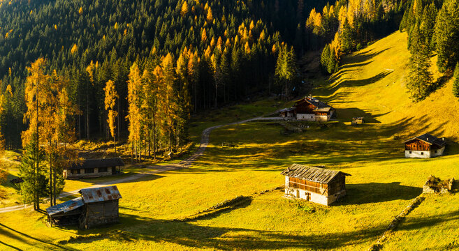 Scenic view of wooden huts in a golden meadow, surrounded by autumn trees and a dense forest. Rabbi valley,Stelvio National Park,Trentino,Italy