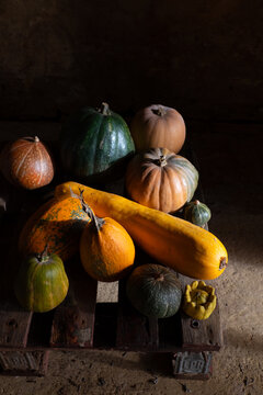Variedad de calabazas r&uacute;sticas sobre pal&eacute; de madera en atm&oacute;sfera de claroscuro.