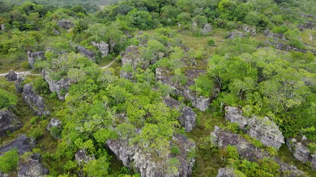 This aerial shot captures rocky structures amidst dense green trees under cloudy skies in San Jose del Guaviare, Colombia.