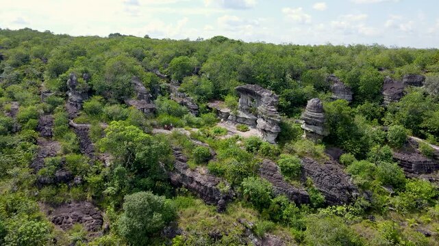 Dramatic rock formations surrounded by dense green foliage under a bright sky. Natural landscape in San Jose del Guaviare, Colombia.
