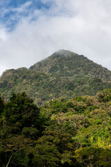 Fototapeta premium Panoramic view capturing a dense cloud forest mountain under a cloudy sky, showcasing the rich biodiversity and untouched wilderness of Panama's high altitude regions, Boquete, Chiriqui - stock photo