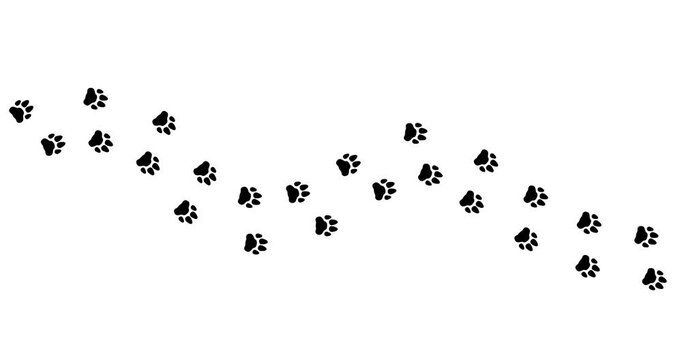 Black paw prints trail across clean white background. Prints curve gently, suggesting playful movement. One print fades subtly, hinting at a curious stop. Simple and charming, perfect for pet themes
