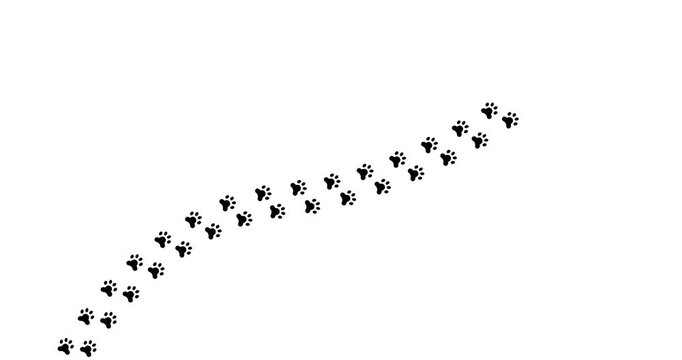 Black paw prints trail diagonally across white background. Simple, clean design. Ideal for pet-related projects or wildlife themes. Suitable for animation or graphic overlays. Could represent dog, cat