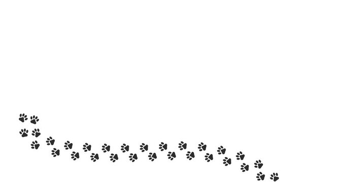 Black paw prints trail across white background. Curved line guides viewer's eye gently. Footprints suggest playful, wandering dog. Simple, clean design perfect for pet branding