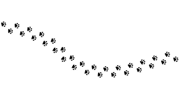 Black paw prints trail across white background. Path curves gently, suggesting movement and direction. Footprints fade into distance, hinting at mystery or journey. Ideal for nature, travel