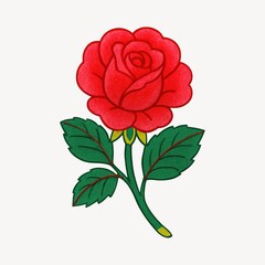 Fototapeta premium Vibrant red rose illustration