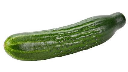 Isolated fresh whole green cucumber vegetable with vibrant textured skin, perfect for salads
