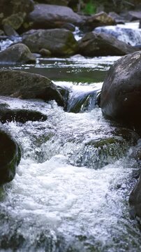Fresh mountain stream cascading over mossy rocks in a quiet forest. The pristine water sparkles as it flows through the rugged stones, in refreshing and calming natural scene. Eco-tourism
