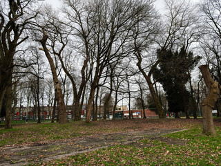 Fototapety na wymiar - Fototapeta24.pl