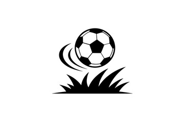 Obraz premium Black and white soccer ball flying over grass pitch motion