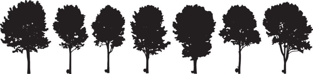 Black Solid Plantation Rubber Tree Silhouettes Set of Six on White Background © Dreamfly