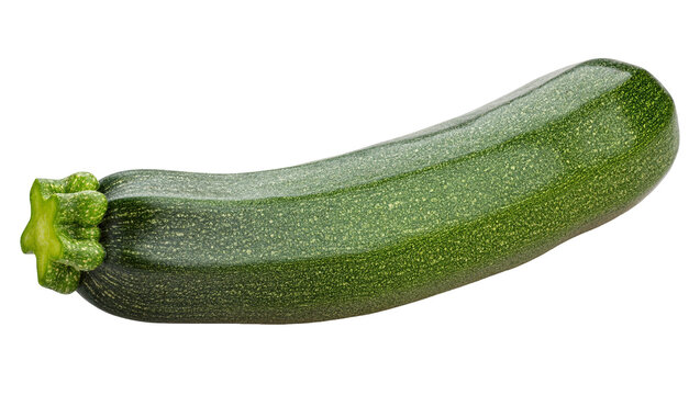 Isolated single fresh green zucchini vegetable, delicious and healthy raw summer squash ingredient