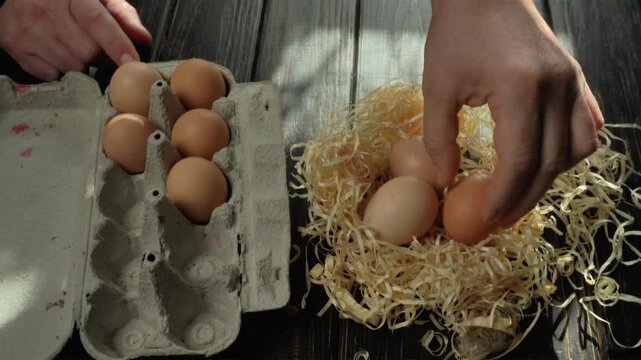 Hand removes eggs from carton and places them into a nest of straw on a wooden table, showcasing the careful transfer of eggs in natural light