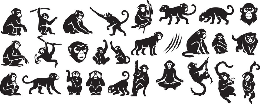 Primate Monkey Silhouettes and Ape Vector Icon Collection.