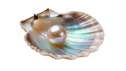 Isolated lustrous pink pearl nestled inside a beautiful open mother-of-pearl seashell, precious gem © Ari