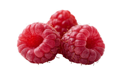 Isolated Three vibrant ripe red raspberries, fresh summer berry fruit macro close-up. © Ari