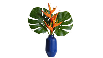 Isolated tropical arrangement with vibrant Bird of Paradise flowers and monstera leaves in blue vase © Ari