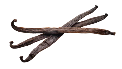 Isolated natural aromatic dry vanilla beans and pods, flavorful gourmet baking ingredient © Ari