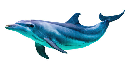 Fototapeta premium Isolated beautiful bottlenose dolphin swimming peacefully in clear water a majestic marine mammal
