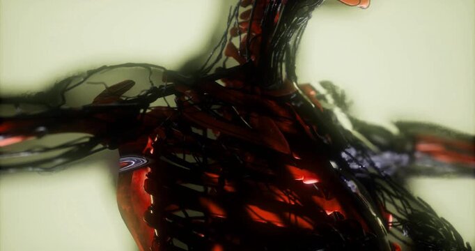 An intricate view of human skeletal structure illustrates the arrangement of bones, revealing highlights of color that accentuate anatomical features. The background softens the focus on details.