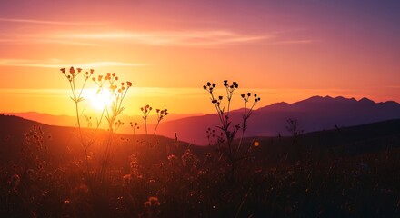 Fototapeta premium Evening meadow landscape background with glowing sunset sky