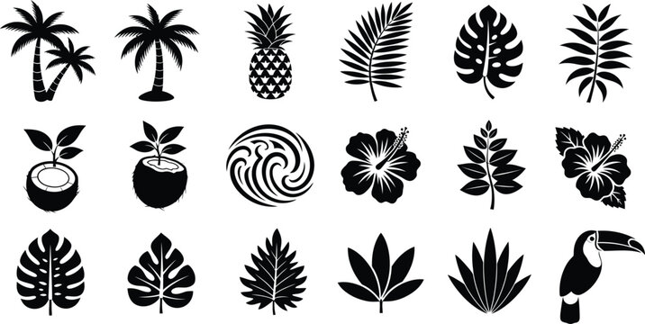 Tropical plant and fruit icons featuring palm trees leaves and exotic birds