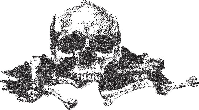 Skull vintage y2k stipple art, bones halftone stipple brutalist retro vector png with transparent background, macabre 2000s aesthetic photocopy effect tattoo