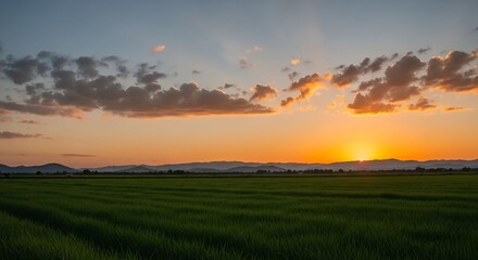 Fototapeta premium Golden sunset over green agricultural field with mountains and dramatic clouds