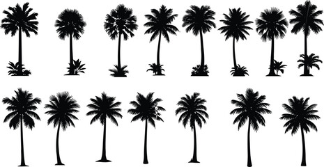 Collection of tropical palm tree silhouettes isolated on white background, diverse coconut and fan palms, botanical vector set for summer design, travel themes, landscape illustration © MdAnowarHossain
